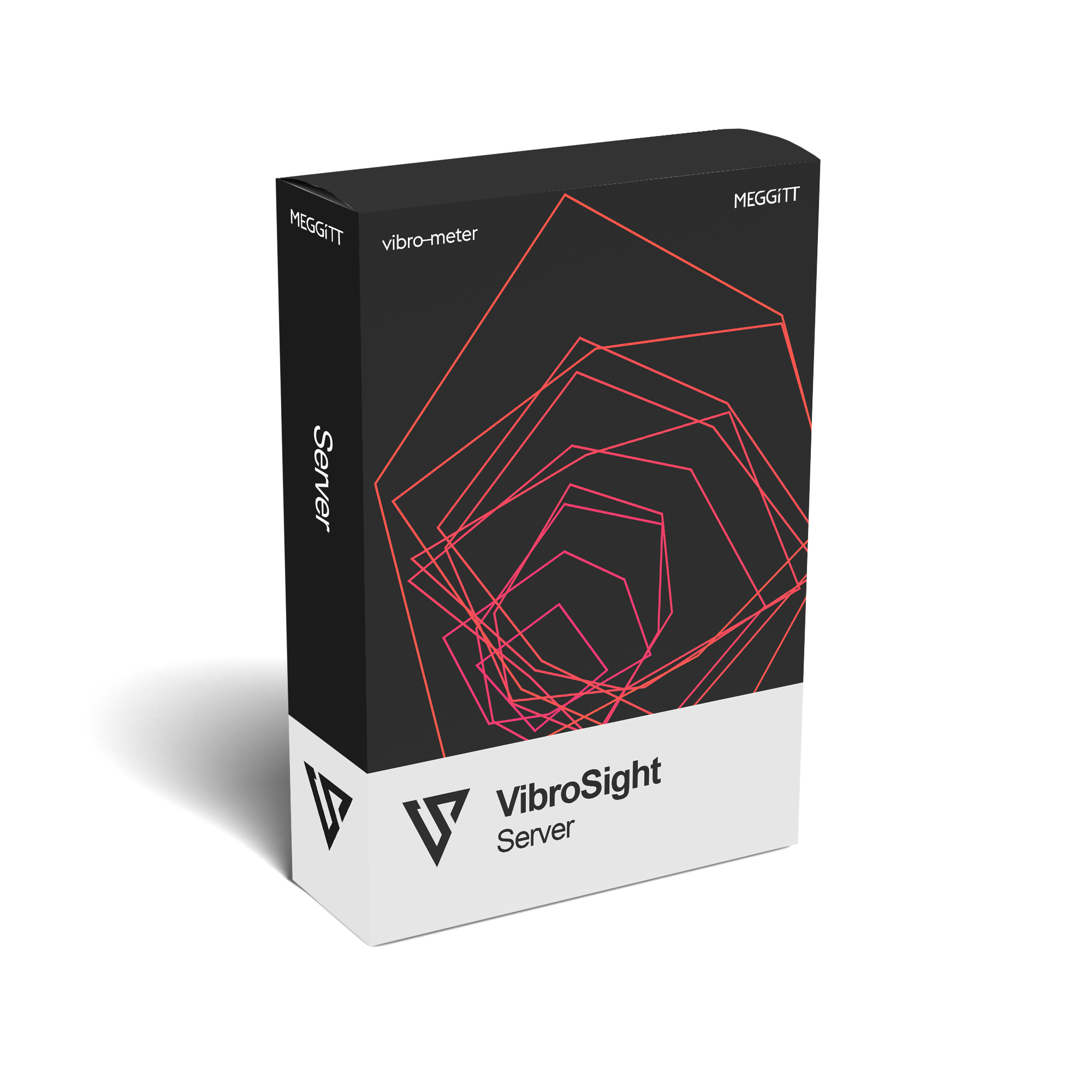 VibroSight Server – data management